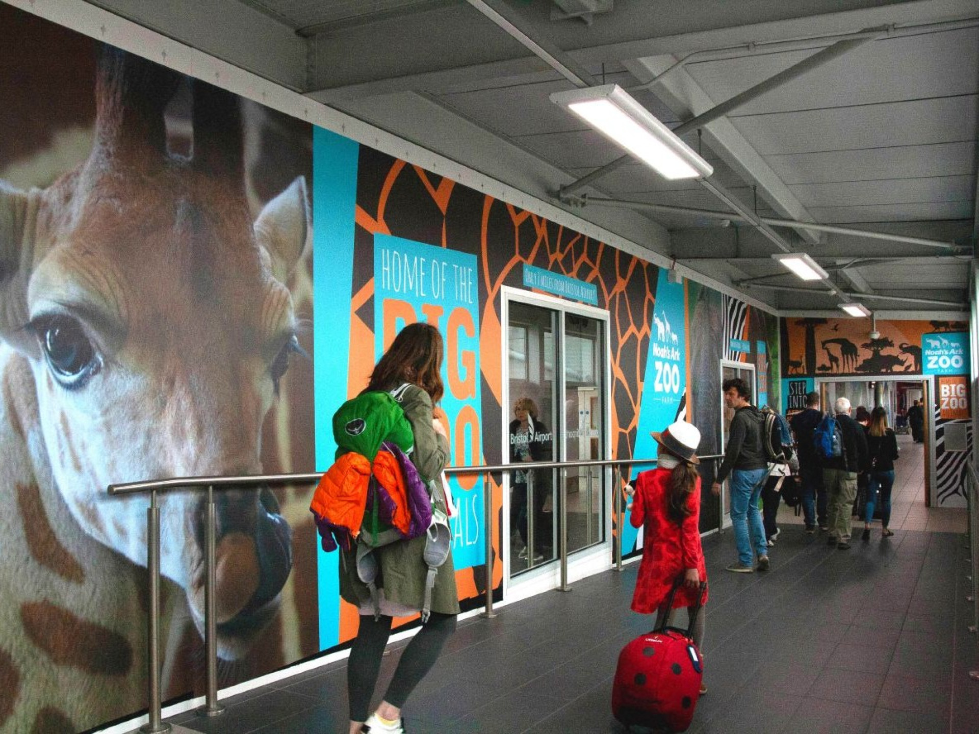 Image of Noahs Ark Zoo Wrapped Corridor Airport