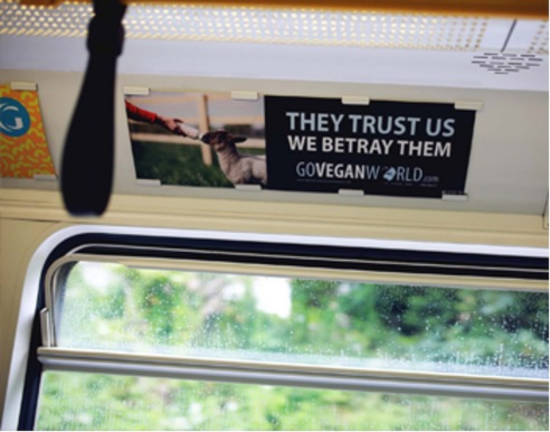 Tram Interiors